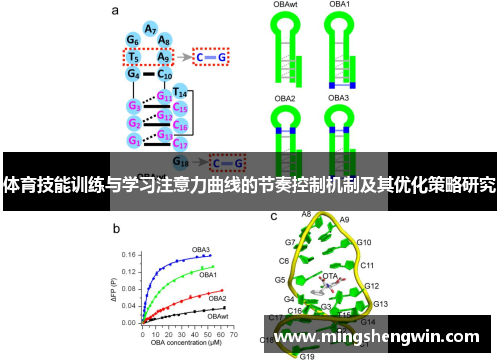 体育技能训练与学习注意力曲线的节奏控制机制及其优化策略研究